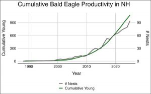 Graph of cumulative Bald Eagle productivity in NH.