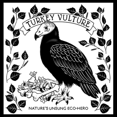 Image for choice number 2