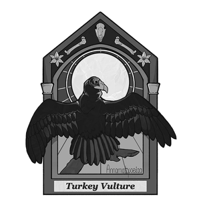 Image for choice number 3