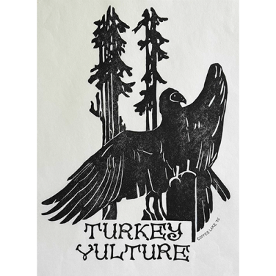 Image for choice number 26