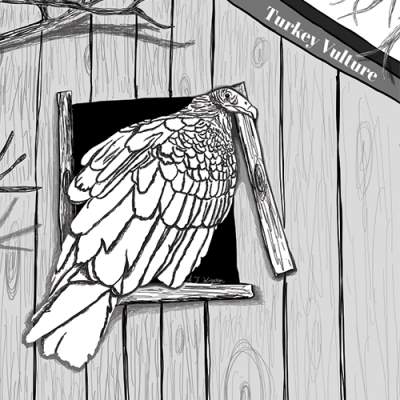 Image for choice number 4