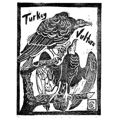 Image for choice number 6