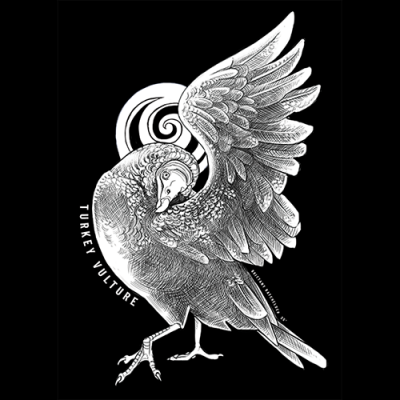 Image for choice number 7