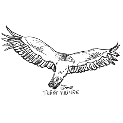 Image for choice number 12