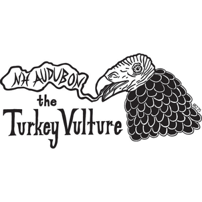 Image for choice number 13