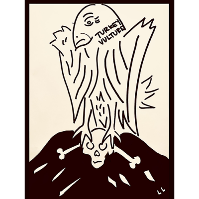 Image for choice number 17