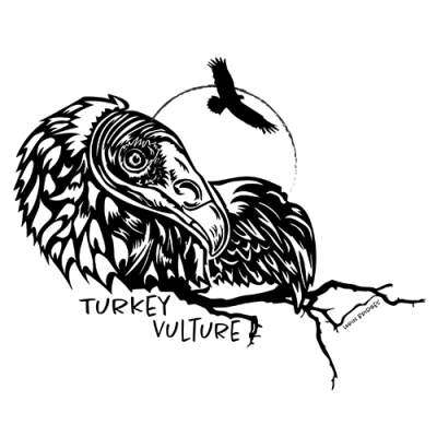 Image for choice number 18