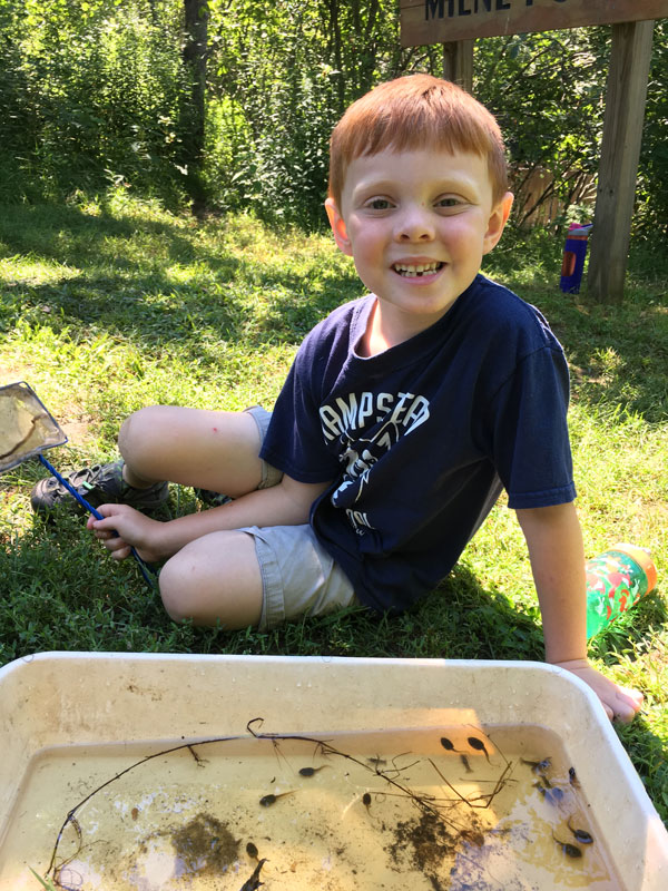 Nature Camp is On! - NH Audubon