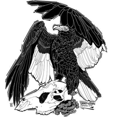 Image for choice number 19