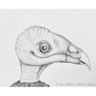 Image for choice number 21