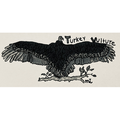 Image for choice number 22