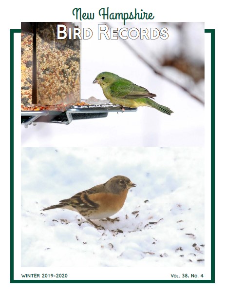 Homepage - NH Audubon