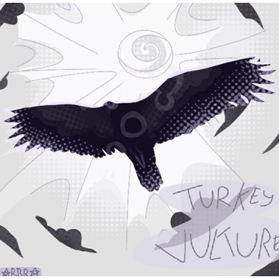 Image for choice number 23