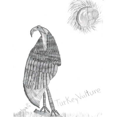 Image for choice number 24