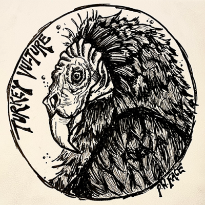 Image for choice number 25